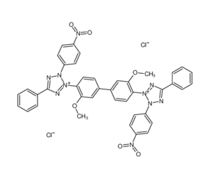 127615-60-5 , 3-Nitrotetrazolium blue chloride