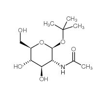 262849-69-4, 特丁基-2-乙酰氨基-2-脫氧-b-D-葡萄糖苷, CAS:262849-69-4