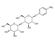 17691-02-0 ,對(duì)氨基苯基-beta-D-乳糖苷, 4-Aminophenyl b-D-lactopyranoside, CAS:17691-02-0