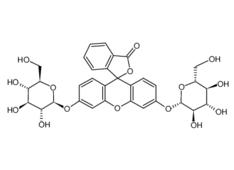 129787-66-2 ,熒光素二(beta-D-吡喃葡萄糖苷),FDGlu,  CAS:129787-66-2