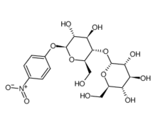 56846-39-0, PNP-b-D-麥芽糖苷, CAS: 56846-39-0