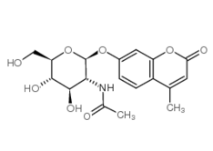 37067-30-4, 4-甲基傘形酮-b-D-乙酰氨基葡萄糖苷,4-MU-GlcNAc, CAS: 37067-30-4