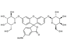 216299-45-5;C2FDG;5-Acetamidofluorescein-di-(b-D-galactopyranoside); 2-Acetylaminofluorescein-di-(b-D-galactopyranoside)