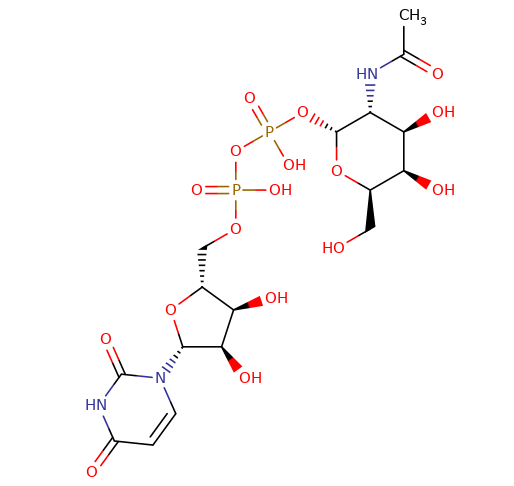 108320-87-2, UDP-GalNAc disodium salt, 尿苷-5'-二磷酸-N-乙酰基氨基半乳糖二鈉鹽, CAS:108320-87-2